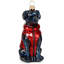 Black Lab in Puffer Coat-1788294493-1788294490