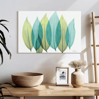 Harnek bleu vert feuilles de coculus