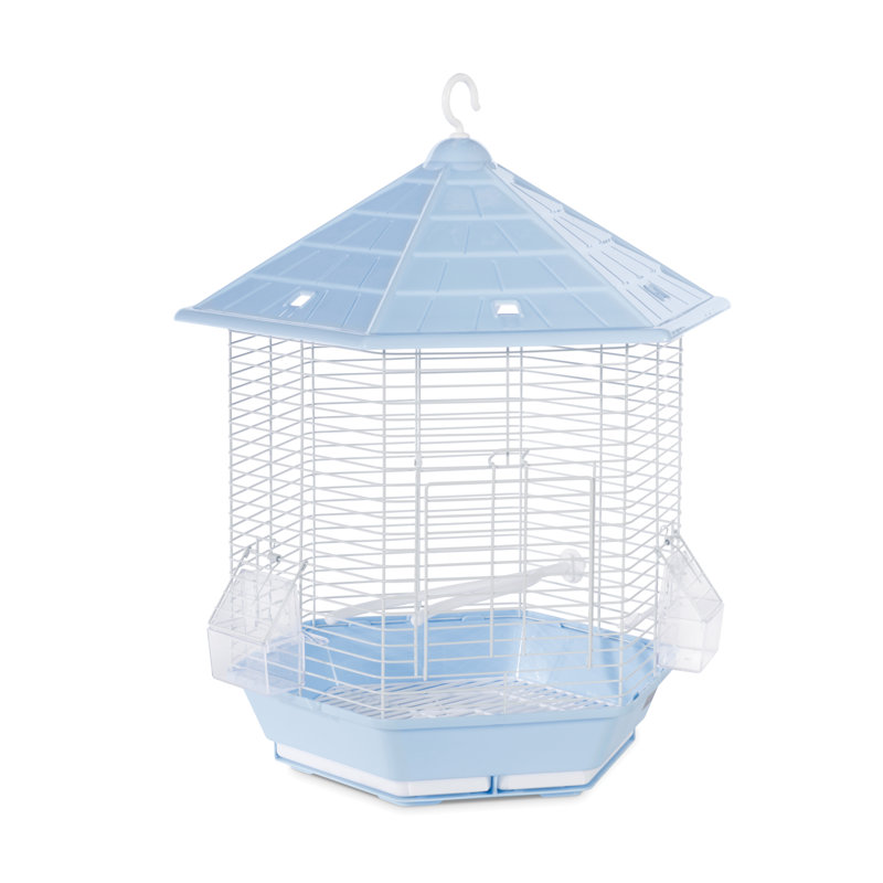Cage à oiseaux avec perchoir en plastique à toit pointu 21,5 po Borrero, Bleu pâle