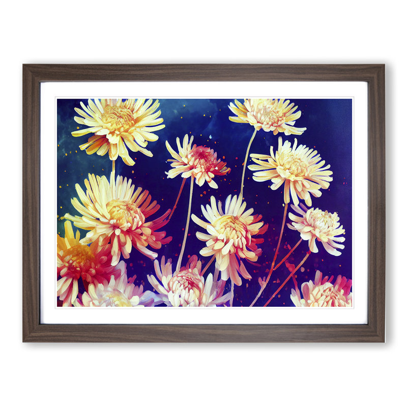 Vibrant Chrysanthemum Flowers - Framed Print, 34cm H x 46cm W x 2cm D, Walnut
