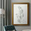 " Botanical Study In Sage IX " Painting Print-1988625663