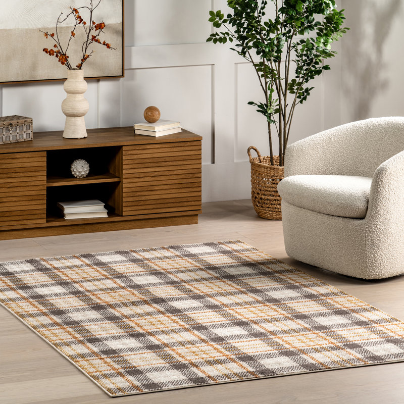 Kalila Retro Plaid Area Rug, Rectangle 4' x 6'