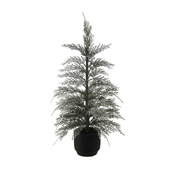 POT EN FLUIDE SAISONNIER S / 2 Cedar