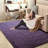 Shahen Rectangle Shag Area Rug-738442617-800662379