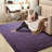 Shahen Rectangle Shag Area Rug-738442617-803208723