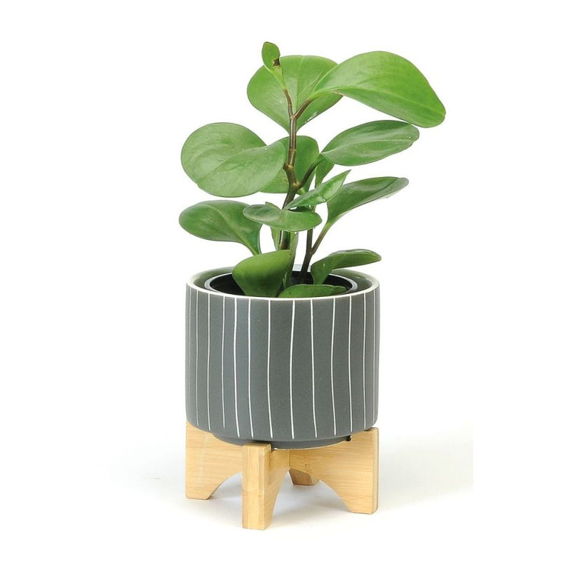Pot de fleurs en céramique, H 6 po x l 5 po x P 5 po