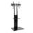 Quitman Symple Stuff Single Screen Floor Stand Mount
