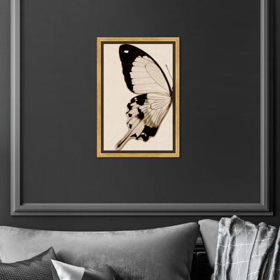 " Animals Sepia Butterfly I Insects "