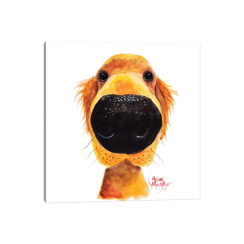 Roy The Retriever by Shirley Macarthur - Wrapped Canvas Print, 45.72 cm H x 45.72 cm W x 3.175 cm D