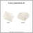 Animal Comforter Set