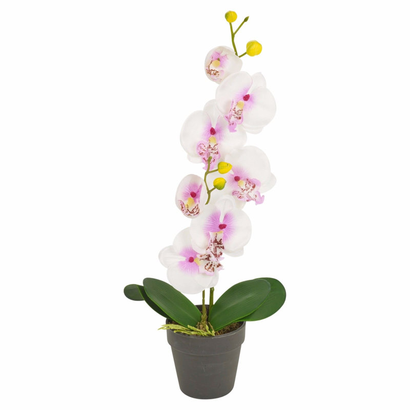 38cm Faux Flowering Plant in Pot, White, 38cm H x 10cm W x 9cm D