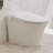 PineLn Luxury Smart Tankless Toilet with Dryer and Warm Water,Heated Seat, Night Light, Kick/Blackout Flush