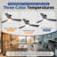42 po Ventilateur de plafond intérieur / extérieur noir avec lumière et télécommande, DEL à intensité variable, 3 couleurs, réversible à 6 vitesses DC, silencieux