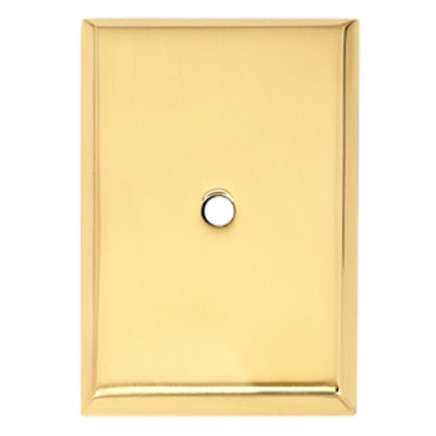 2.63" Back Plate