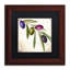 «Jadaya Olive Branch IV» par Color Bakery, reproduction d'art encadrée-20487254-20487255