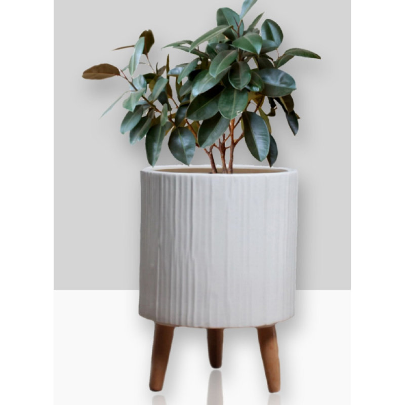Porte-pot en céramique blanc mat George Oliver
