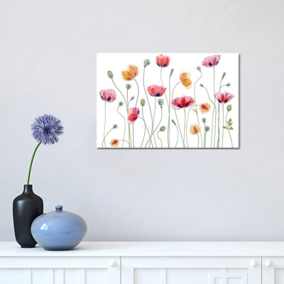 Papaver Party by Mandy Disher - Print on Canvas