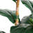 Artificial Fiddle Leaf Tree in Decorative White Planter-188350080