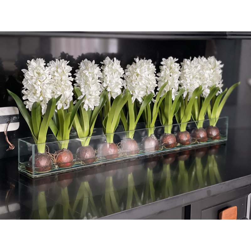 Hyancinths arrangement floral en pot