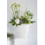 Elma Handmade Ceramic Table Vase-1283018988-1283018987