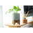 Pot Planter