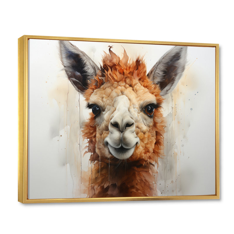 Alpaga Curious Alpaca - imprimé, Cadre flottant doré, H 12 po x l 20 po x P 1 po
