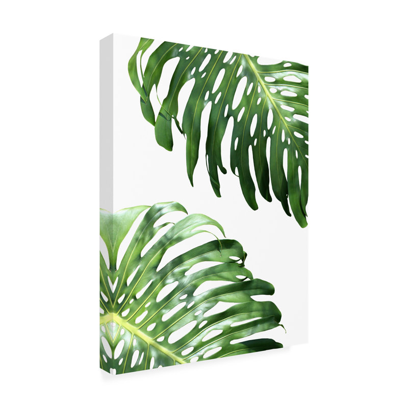 Toile pour l'extérieur Cormican Lexie Greer Double Philodendron, H 32 po x l 24 po x P 1,5 po
