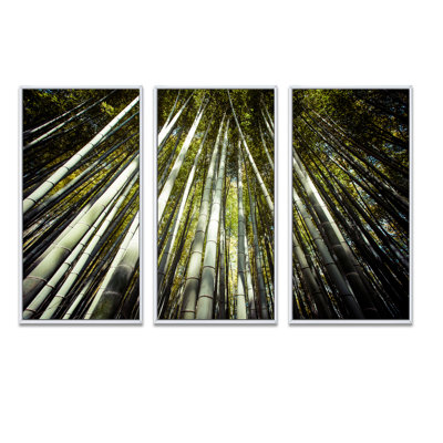 Longs bambous dans la forêt de bambous - ensemble d'art mural sur toile encadré forêt