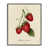 Midnight Black Framed Giclee
