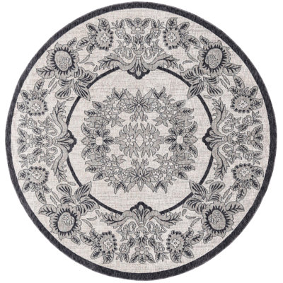 Policarpio Oriental Indoor Rug