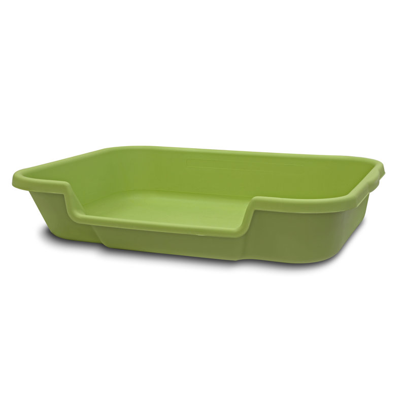 Litière standard en plastique Babbie, H 5 po x l 24 po x P 20 po, Vert pomme