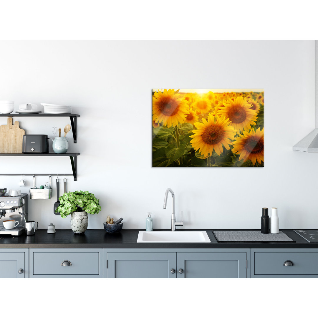 Glasbild Sonnenblumen auf dem Feld