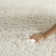 Nikodem Shag Performance Solid Color Rug