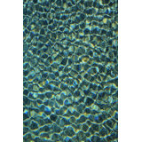 Water Abstract' Graphic Art Print