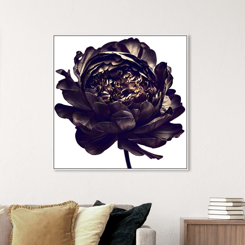 Pivoine noire - Impression sur toile, Cadre blanc, H 41 po x l 41 po