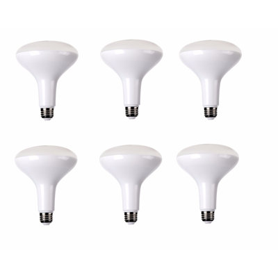 15W E26/Medium LED Light Bulb