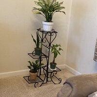 Tall Plant Stand - VisualHunt