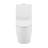 St. Tropez One-Piece Elongated Toilet Collection-789141937-769207419-747766611