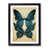 Black selected