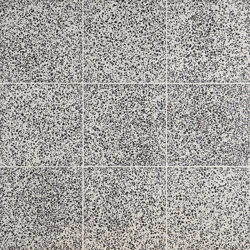 True Terrazzo 16x16 Polished Terrazzo Tile, Tinos Black/White