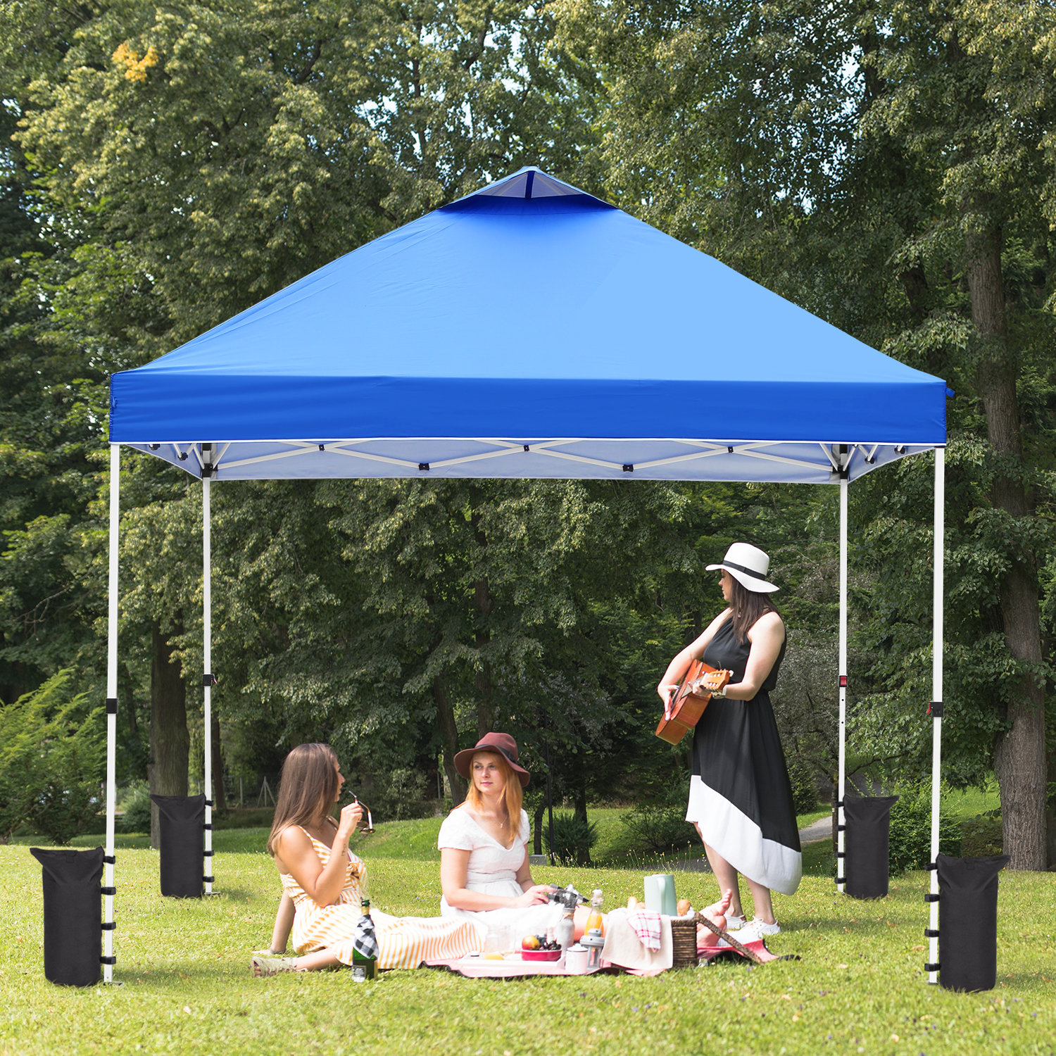 Zenova Canopy Tent Weight | Wayfair