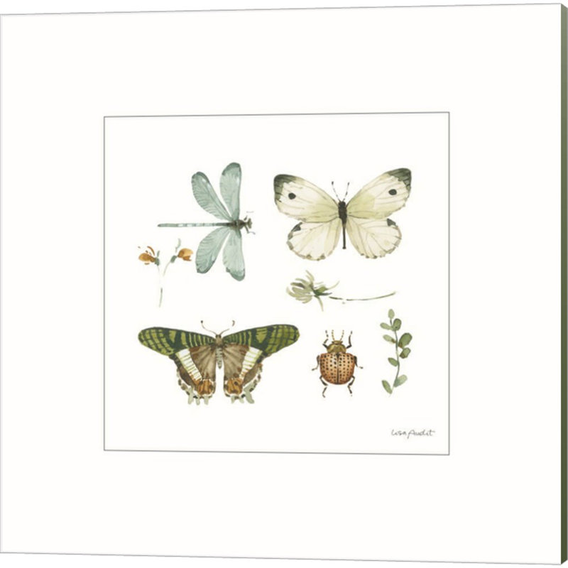 «Green Fields E» par Lisa Audit - ensemble de 2 impressions sur toile tendue