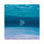 Bleu anges bleu marin-72457501-35538147-72457507