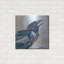 «Raven 6» par St. Hilaire Elizabeth-1450794072