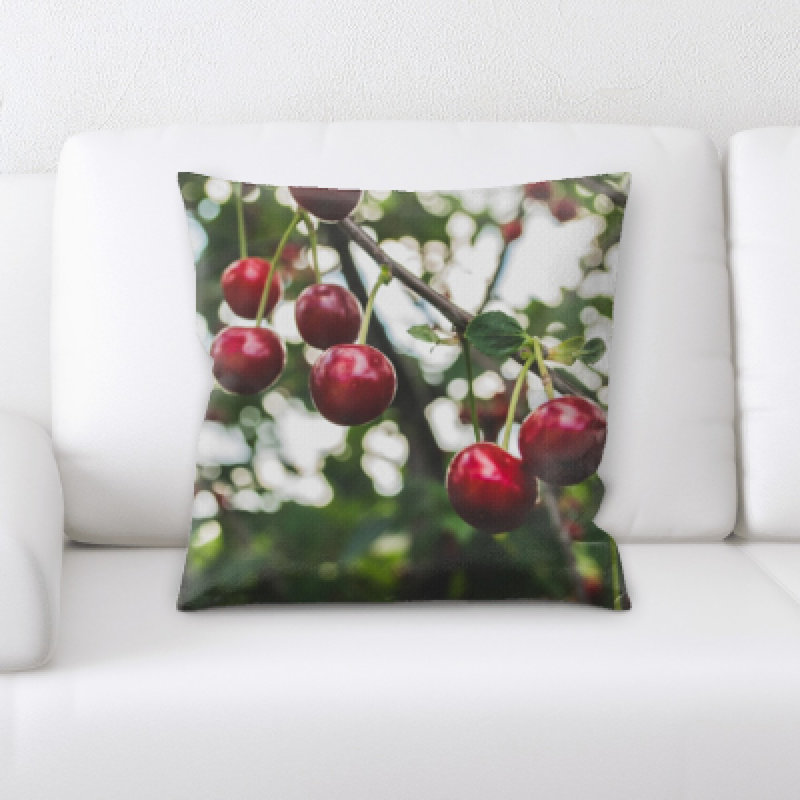 Appetizing Food Microsuede Reversible Throw Pillow