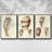 Spiral Shell Formation I 3 pièces-97706149-97706147