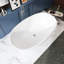 Baignoire de trempage autoportante 65 pouces