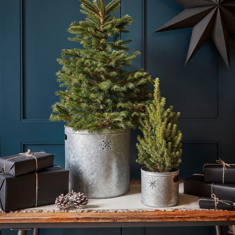 Galvanised Steel Planter Bucket with Star, Galvanised