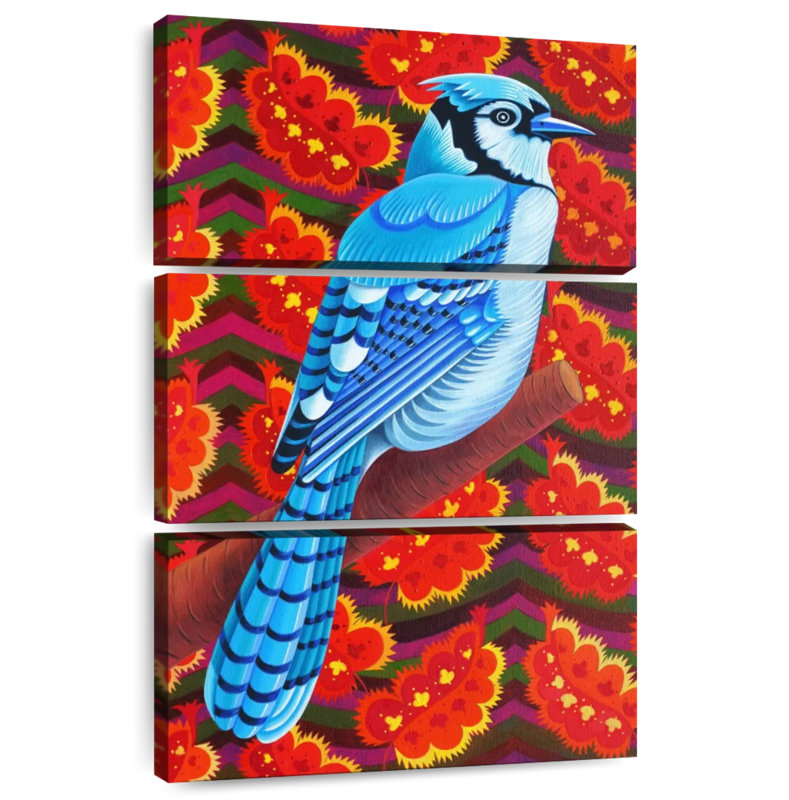 Geai bleu Brampt