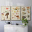 Champignon X-91887174-91887169